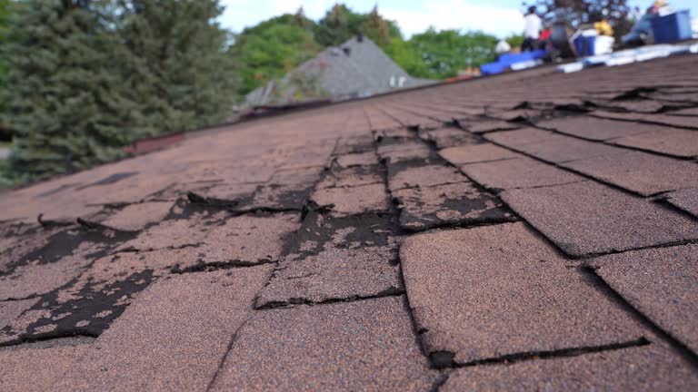 Asphalt Shingles Roofing in Hoover, AL